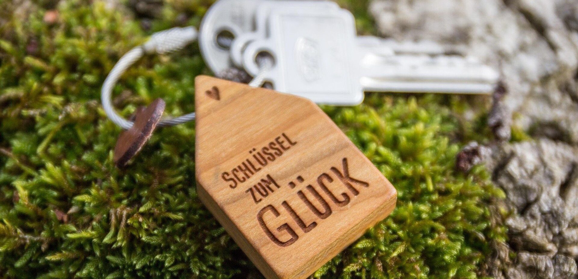 `Michels Mühle´ ... wieder Land sehen `Michels Mühle´ ... wieder Land sehen